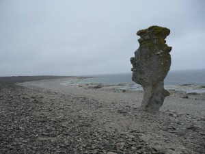 Raukar auf Fårö